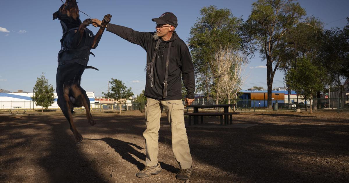 Albuquerque City Council Allocates Proceeds from Dog Park Sale