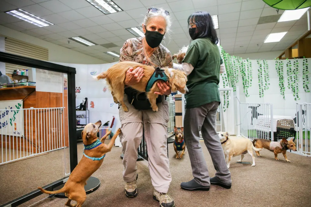 Animal Humane New Mexico Seeks Support After Rescuing 86 Pets from Disasters