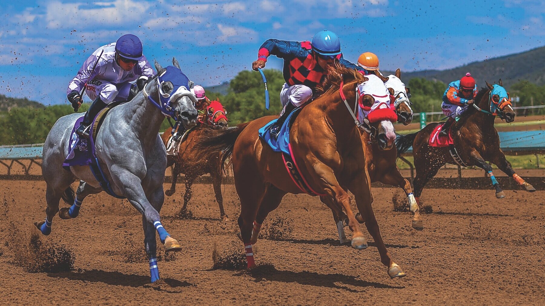 Ruidoso Downs Racehorses Evacuated to Expo New Mexico Amid Wildfire Threat