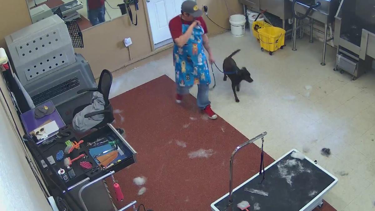 Santa Fe Groomer Faces 8 Counts of Extreme Animal Abuse