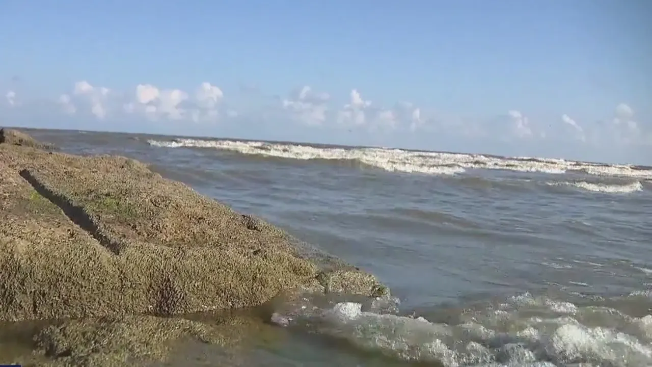 Tragic Drowning Claims Life of 20-Year-Old Woman at Galveston Beach