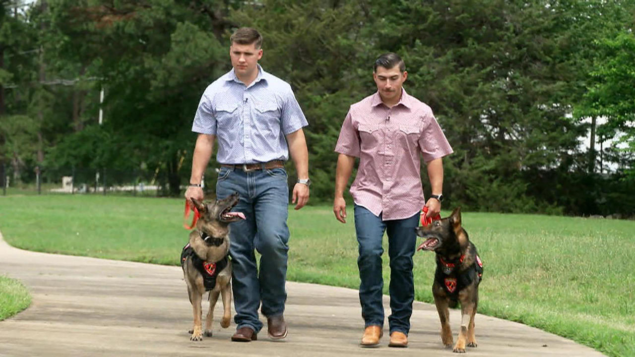 Pride Surprise: Marine and Military Dog Reunited After Service