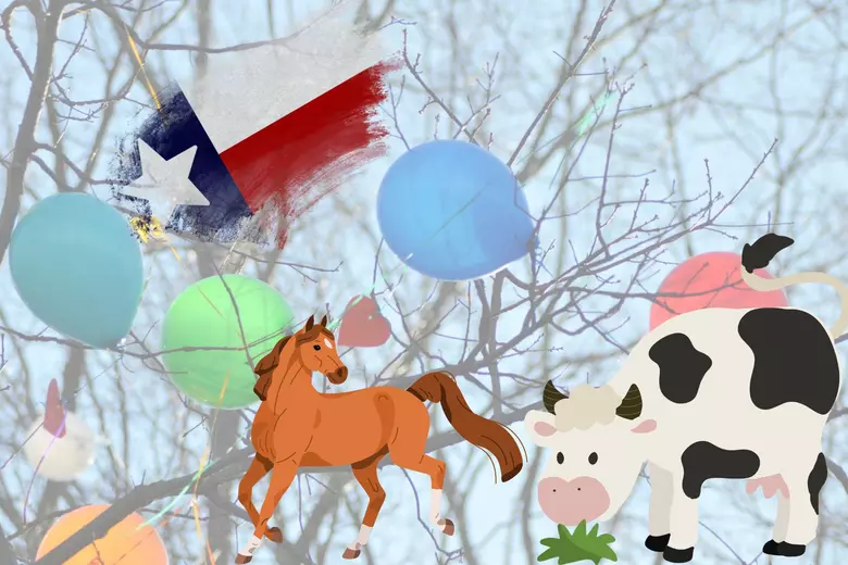 Texas Farmers Urge: Stop Releasing Balloons – They’re Killing Our Animals