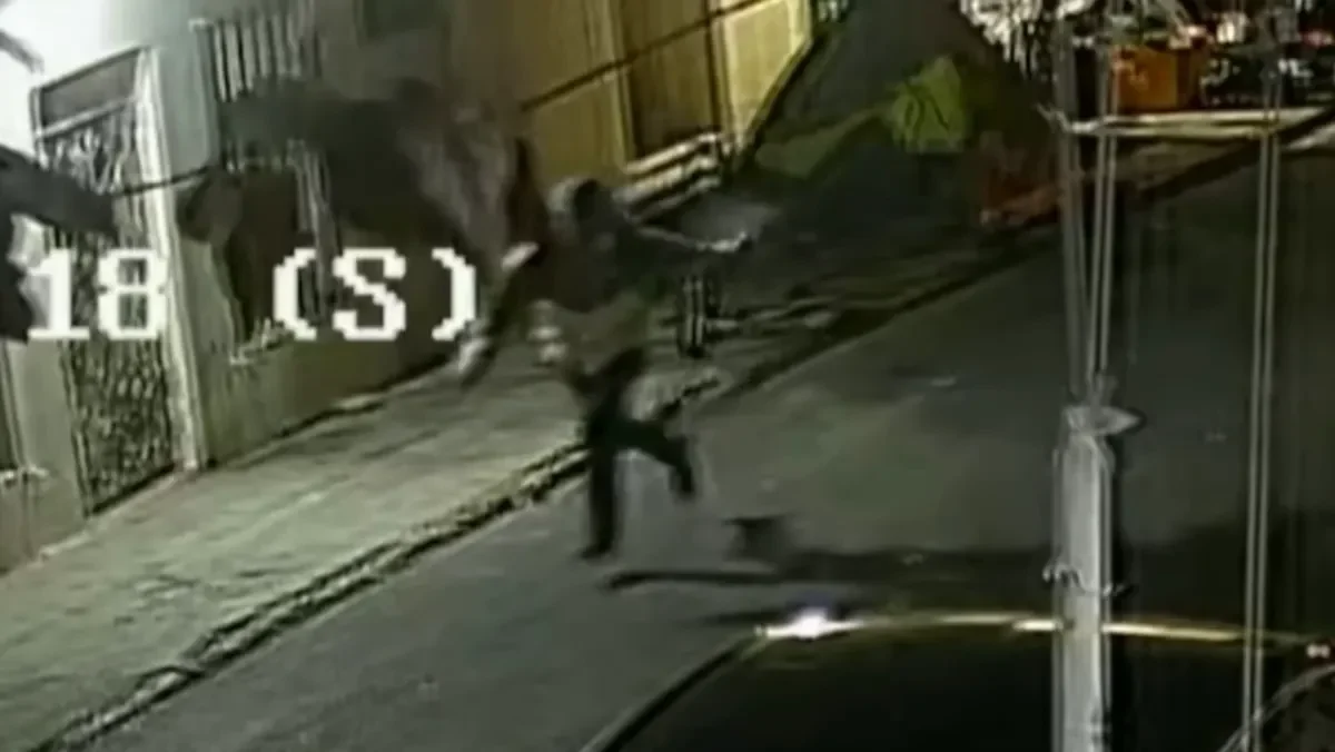 Shocking Video Shows Fatal Police Shooting of Alexander Antonio Lopez in San Francisco