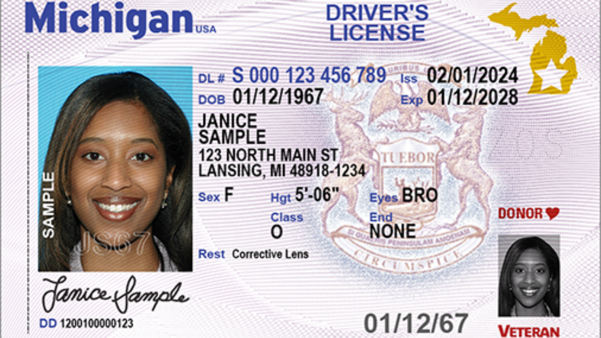 Driver’s License Renewals in Michigan: Latest Requirements and Rules for Drivers