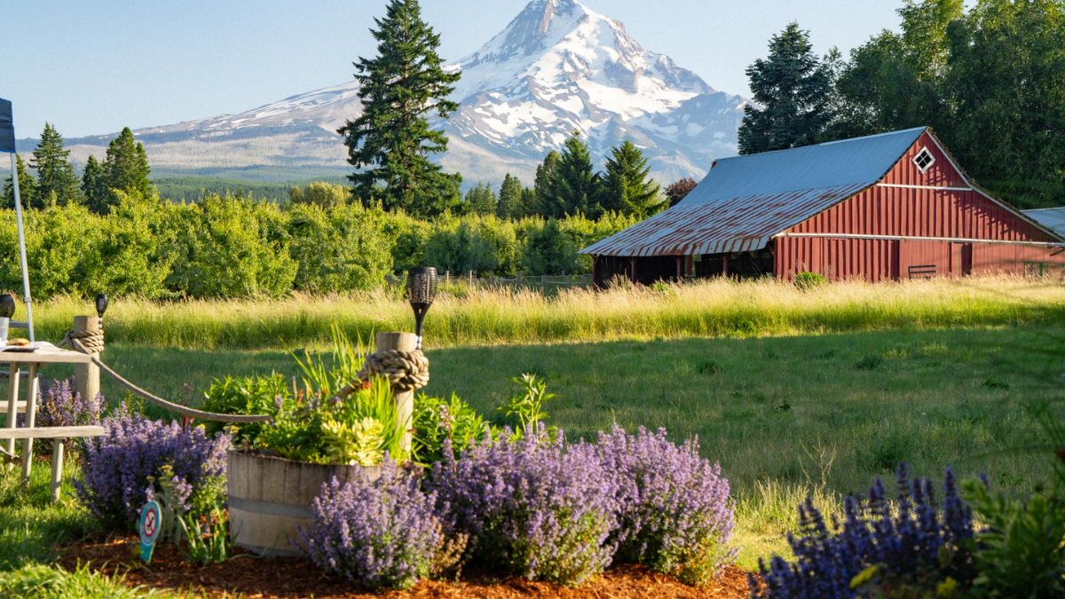 11 Words That Prove You’ve Lived in Oregon Too Long—Can You Say Them?