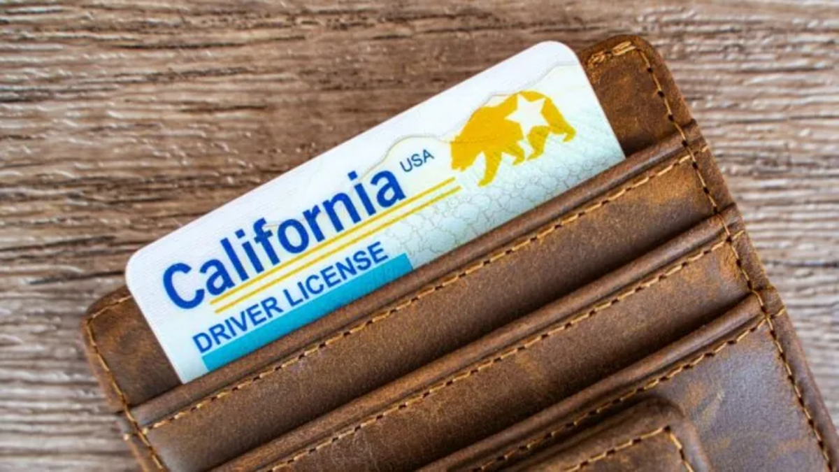 Driver’s License Renewals in California: Latest Requirements and Rules for Drivers