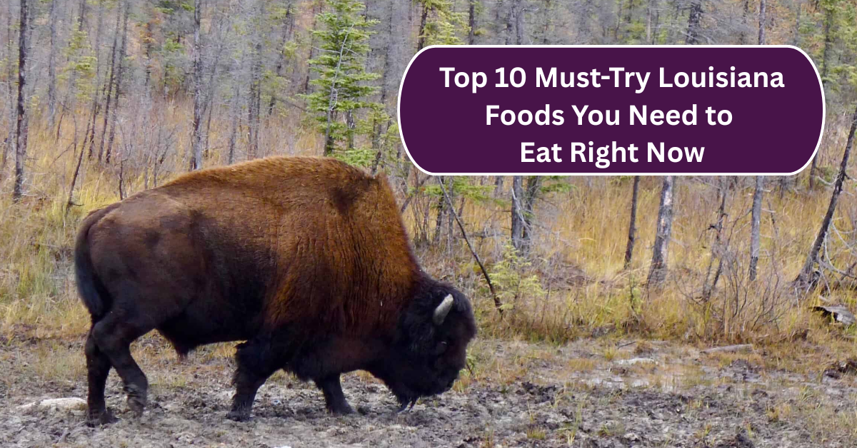 Discover the Top 10 Amazing Animals and Wildlife You Can Find in New Hampshire