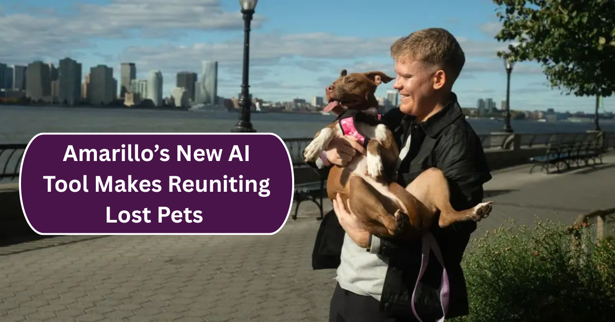Amarillo’s New AI Tool Makes Reuniting Lost Pets with Families Faster and Easier