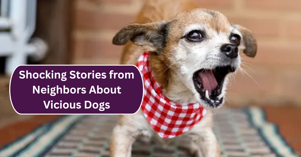 They Leave Bodies Behind: Shocking Stories from Neighbors About Vicious Dogs