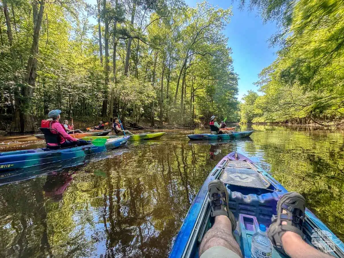 Congaree National Park, South Carolina
