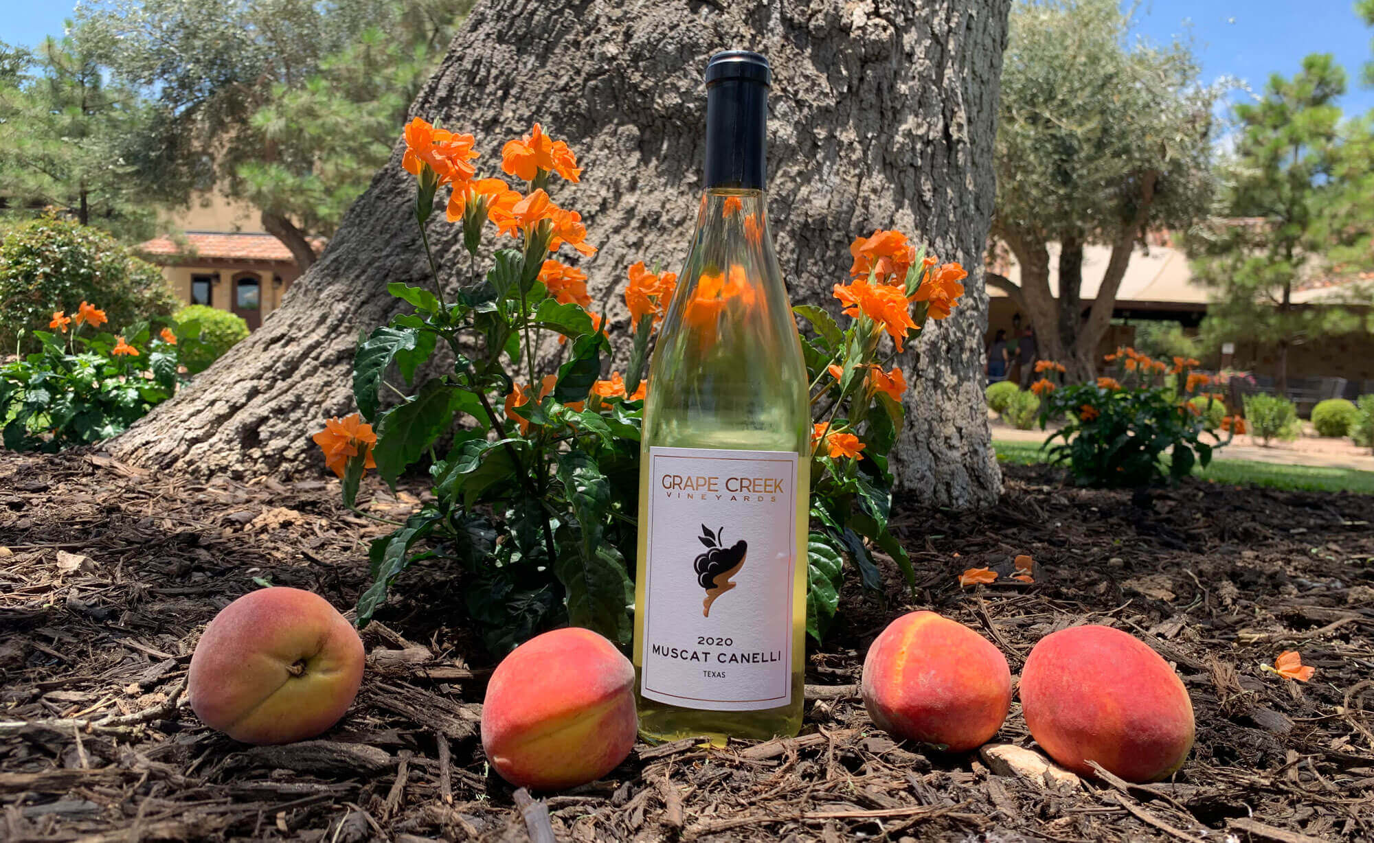 Grape Creek Vineyards – Peach Pie and Perfect Pours