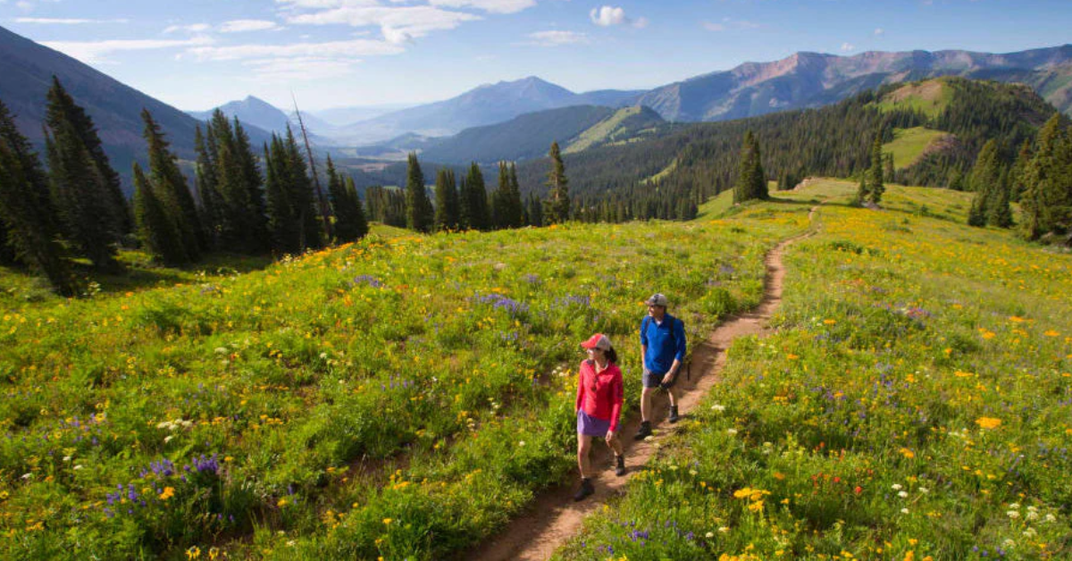 Explore the Best Hiking Destinations in Colorado for August Treks – Enjoy Stunning Wildflower Blooms
