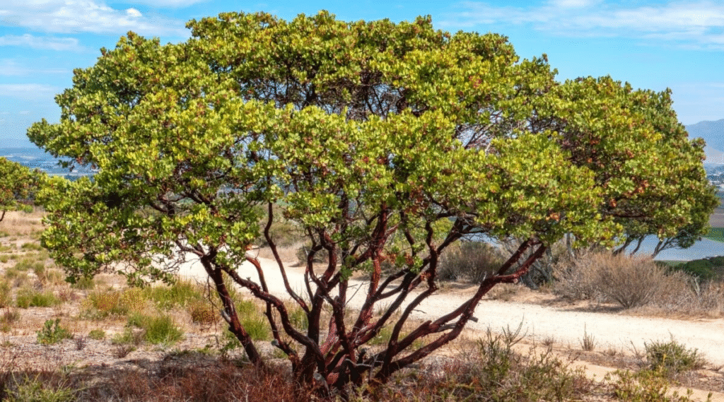 Top 10 Coastal Towns to Visit in Oregon